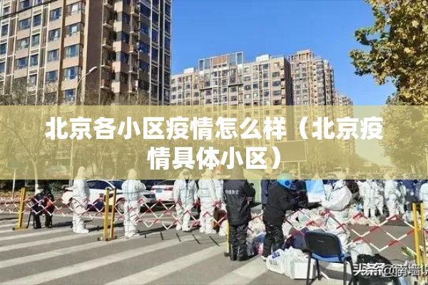锰硅2209期货行情/锰硅2201期货