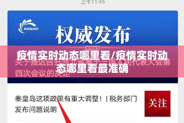 疫情实时动态哪里看/疫情实时动态哪里看最准确 疫情实时动态哪里看/疫情实时动态哪里看最准确