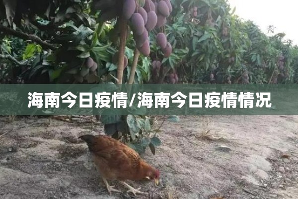 今不绣钢期货行情走势图/不锈钢期货行情最新