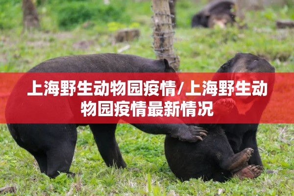 【疫情防控工作调度会,疫情防控专题调度会】