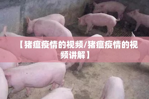 【猪瘟疫情的视频/猪瘟疫情的视频讲解】