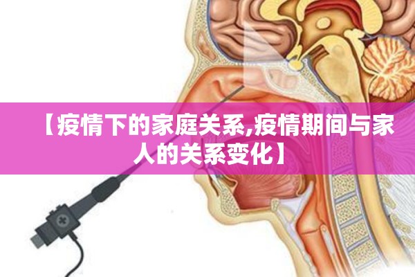 公司疫情防控总结/公司疫情防控工作报告汇报