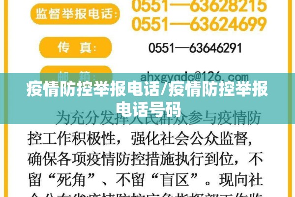 期货公司预测行情准确吗/期货预测分析软件