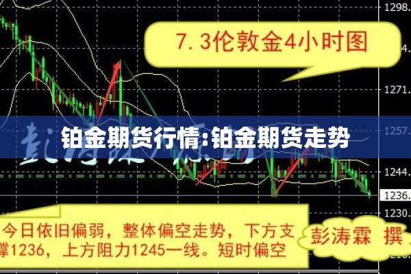 铂金期货行情:铂金期货走势 铂金期货行情:铂金期货走势