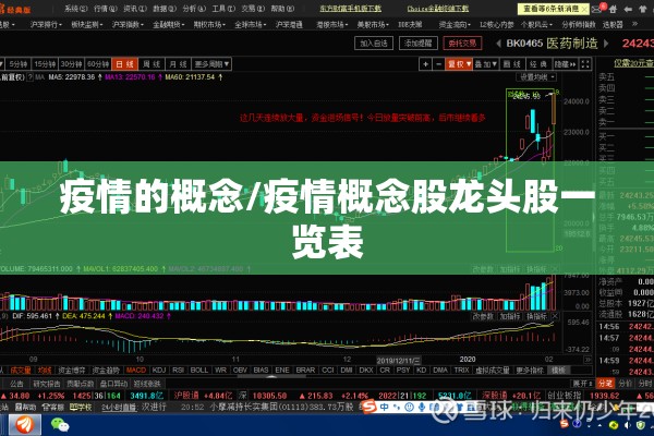日橡胶期货行情/橡胶日本期货行情