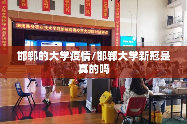 稀土期货今天行情价/稀土的期货价格最新行情