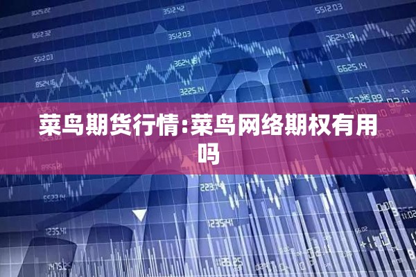 菜鸟期货行情:菜鸟网络期权有用吗