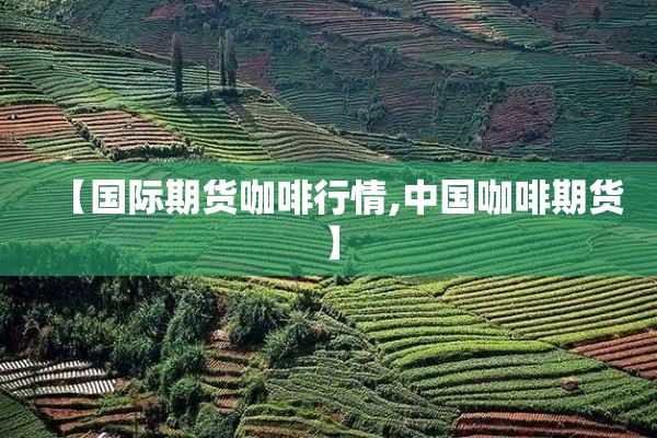 新冠疫情分布/新冠疫情 分布