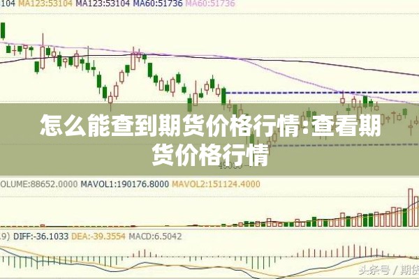 钢材行情看哪个期货平台（钢材期货app十大排行榜）