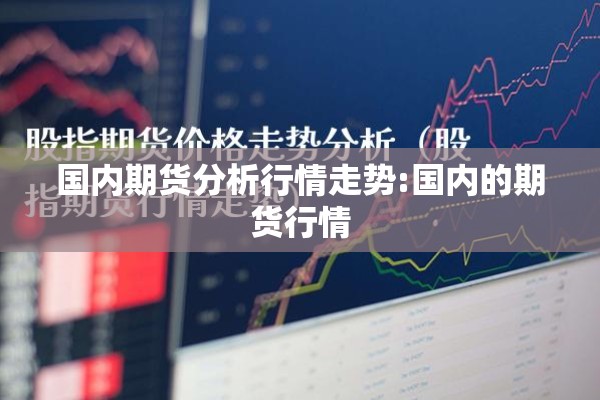 国内外疫情心得/国内外疫情对比感想2000字