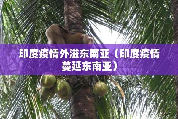印度疫情外溢东南亚（印度疫情蔓延东南亚）