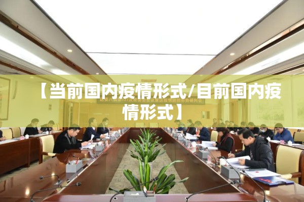 【当前国内疫情形式/目前国内疫情形式】