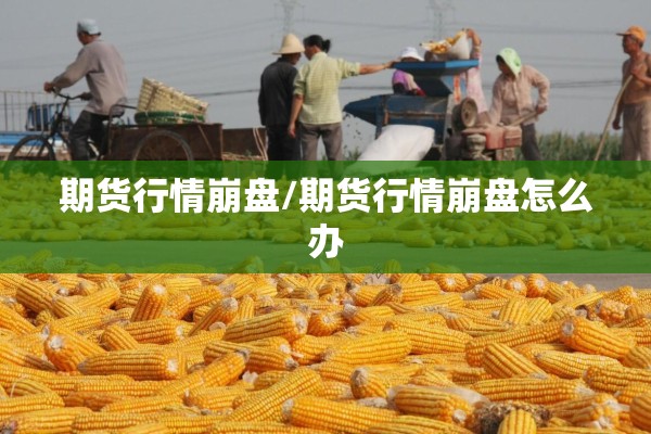 铁精矿期货实时行情（铁精粉期货实时行情）