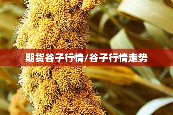 期货谷子行情/谷子行情走势 期货谷子行情/谷子行情走势