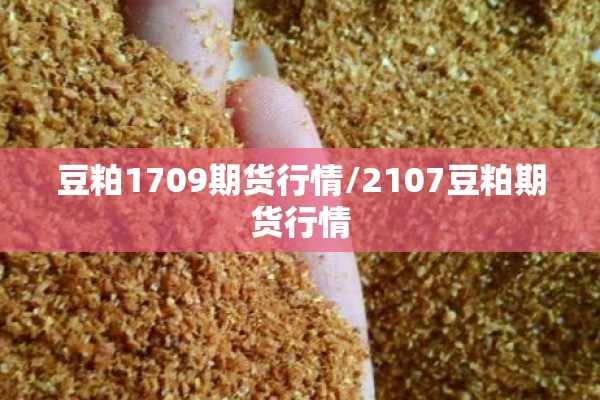 豆粕1709期货行情/2107豆粕期货行情 豆粕1709期货行情/2107豆粕期货行情