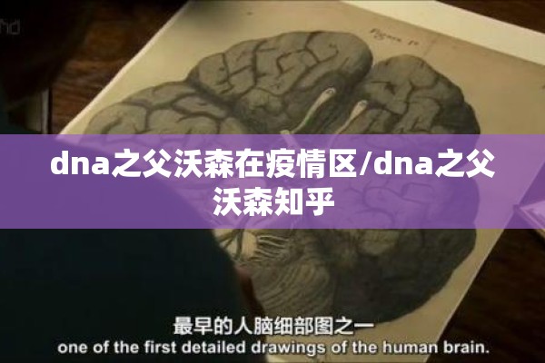 【国内白糖期货行情,国内白糖期货行情最新消息】