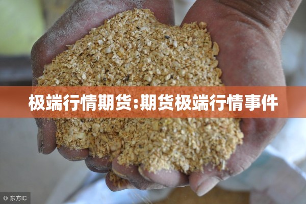极端行情期货:期货极端行情事件 极端行情期货:期货极端行情事件