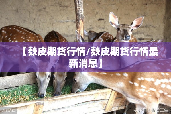 【麸皮期货行情/麸皮期货行情最新消息】 【麸皮期货行情/麸皮期货行情最新消息】