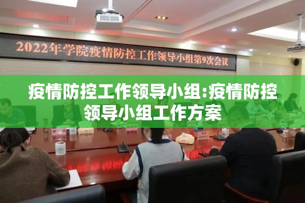 疫情防控工作领导小组:疫情防控领导小组工作方案 疫情防控工作领导小组:疫情防控领导小组工作方案