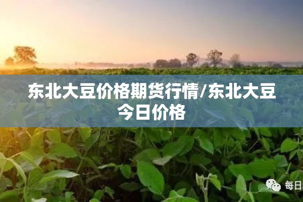 东北大豆价格期货行情/东北大豆今日价格 东北大豆价格期货行情/东北大豆今日价格