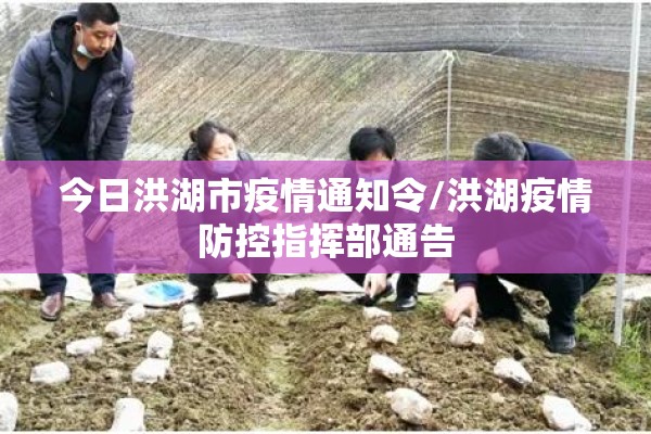 今日洪湖市疫情通知令/洪湖疫情防控指挥部通告 今日洪湖市疫情通知令/洪湖疫情防控指挥部通告