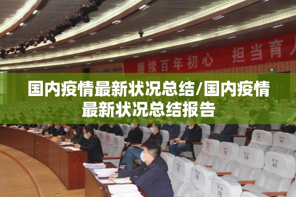 国内疫情最新状况总结/国内疫情最新状况总结报告 国内疫情最新状况总结/国内疫情最新状况总结报告