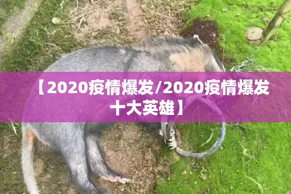 【2020疫情爆发/2020疫情爆发十大英雄】 【2020疫情爆发/2020疫情爆发十大英雄】