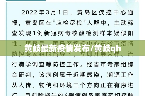 【陆丰疫情防控最新通知/陆丰市疫情防控最新规定】