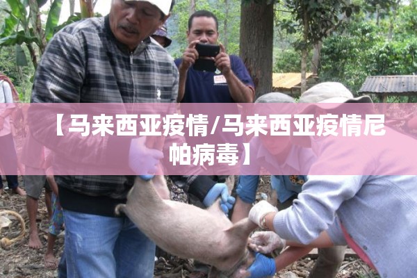今天焦煤期货价格行情/焦煤现货期货价格