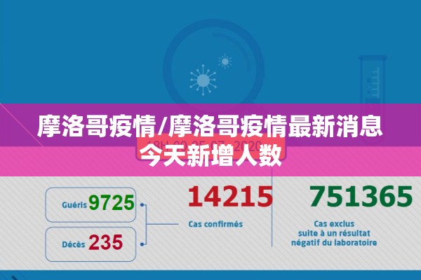 疫情小区地图/疫情小区地图实时更新