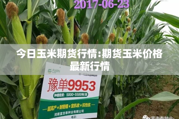 成都双流机场疫情最新规定/成都双流机场疫情管控