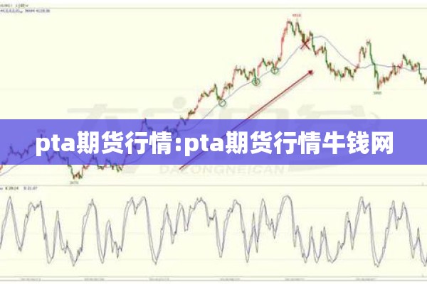 pta期货行情:pta期货行情牛钱网 pta期货行情:pta期货行情牛钱网