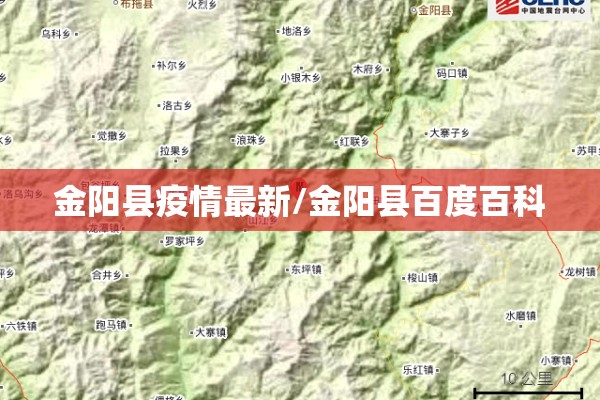 【新冠疫情是哪一年开始的,中国的新冠疫情是哪一年开始的】
