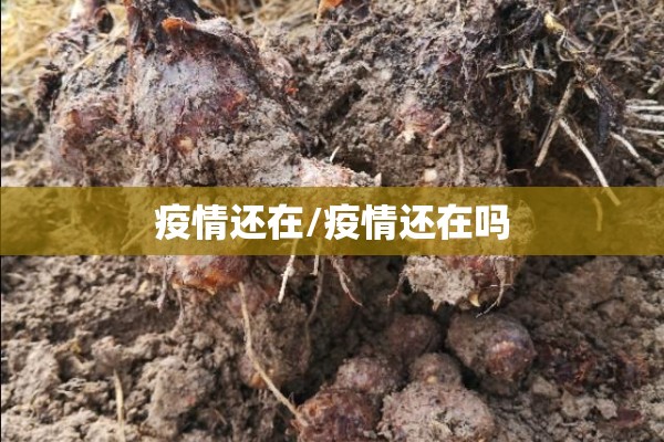 疫情还在/疫情还在吗 疫情还在/疫情还在吗