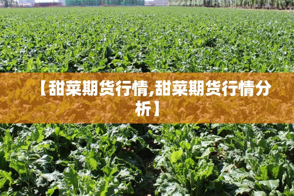 汕尾疫情文案/汕尾疫情通告