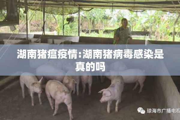 碲期货行情实时行情/期货 行情