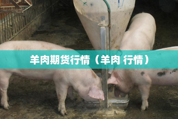 【期货行情安排,期货行情资讯】