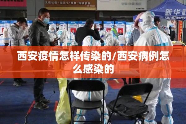 北京菜市场疫情/北京菜市场分布图