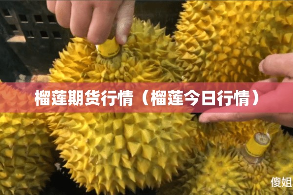 期货铝最新行情分析/期货铝价格行情
