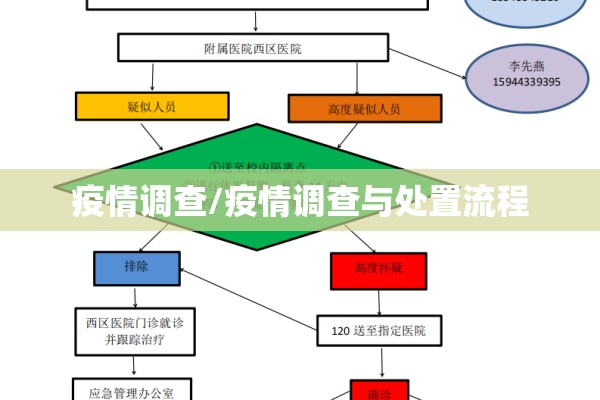 疫情调查/疫情调查与处置流程 疫情调查/疫情调查与处置流程