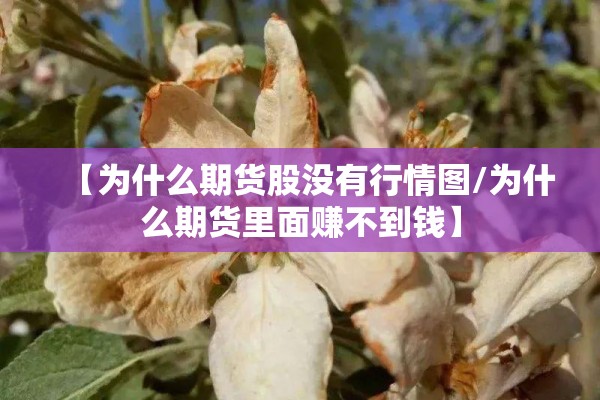 【为什么期货股没有行情图/为什么期货里面赚不到钱】 【为什么期货股没有行情图/为什么期货里面赚不到钱】