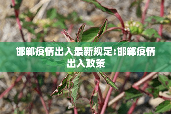 邯郸疫情出入最新规定:邯郸疫情出入政策 邯郸疫情出入最新规定:邯郸疫情出入政策