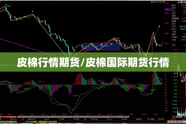 新冠疫情消毒液/新冠疫情消毒液叫什么