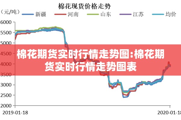 淄博疫情指挥部电话/淄博疫情防控工作领导小组电话