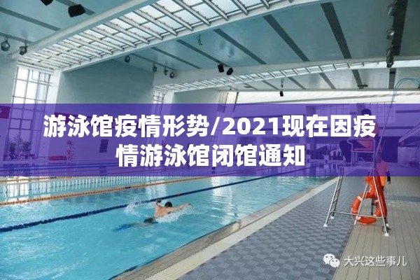 期货国内昨日行情分析/今天国内期货走势