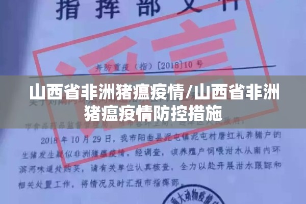 【期货在哪里看走势图行情,期货怎样看走势图】
