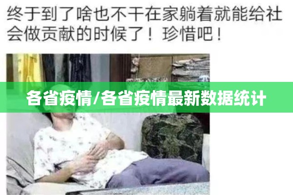 各省疫情/各省疫情最新数据统计