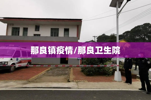 那良镇疫情/那良卫生院 那良镇疫情/那良卫生院