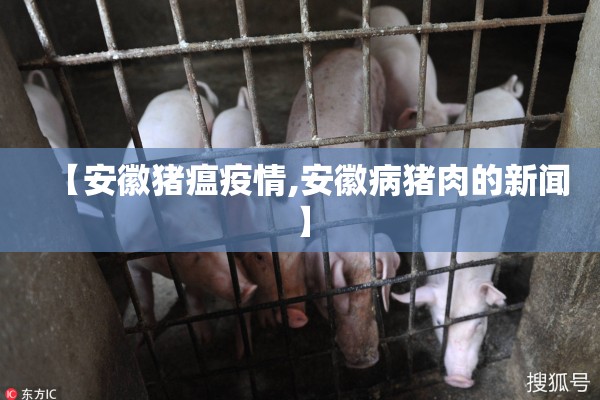 【安徽猪瘟疫情,安徽病猪肉的新闻】 【安徽猪瘟疫情,安徽病猪肉的新闻】