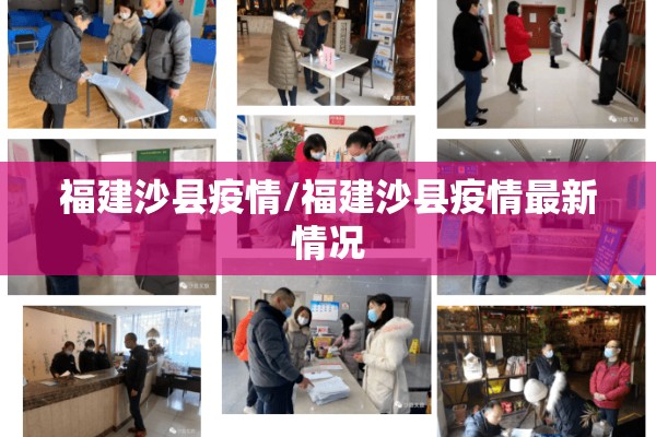 怎样查煤炭期货行情（怎样查煤炭期货行情信息）